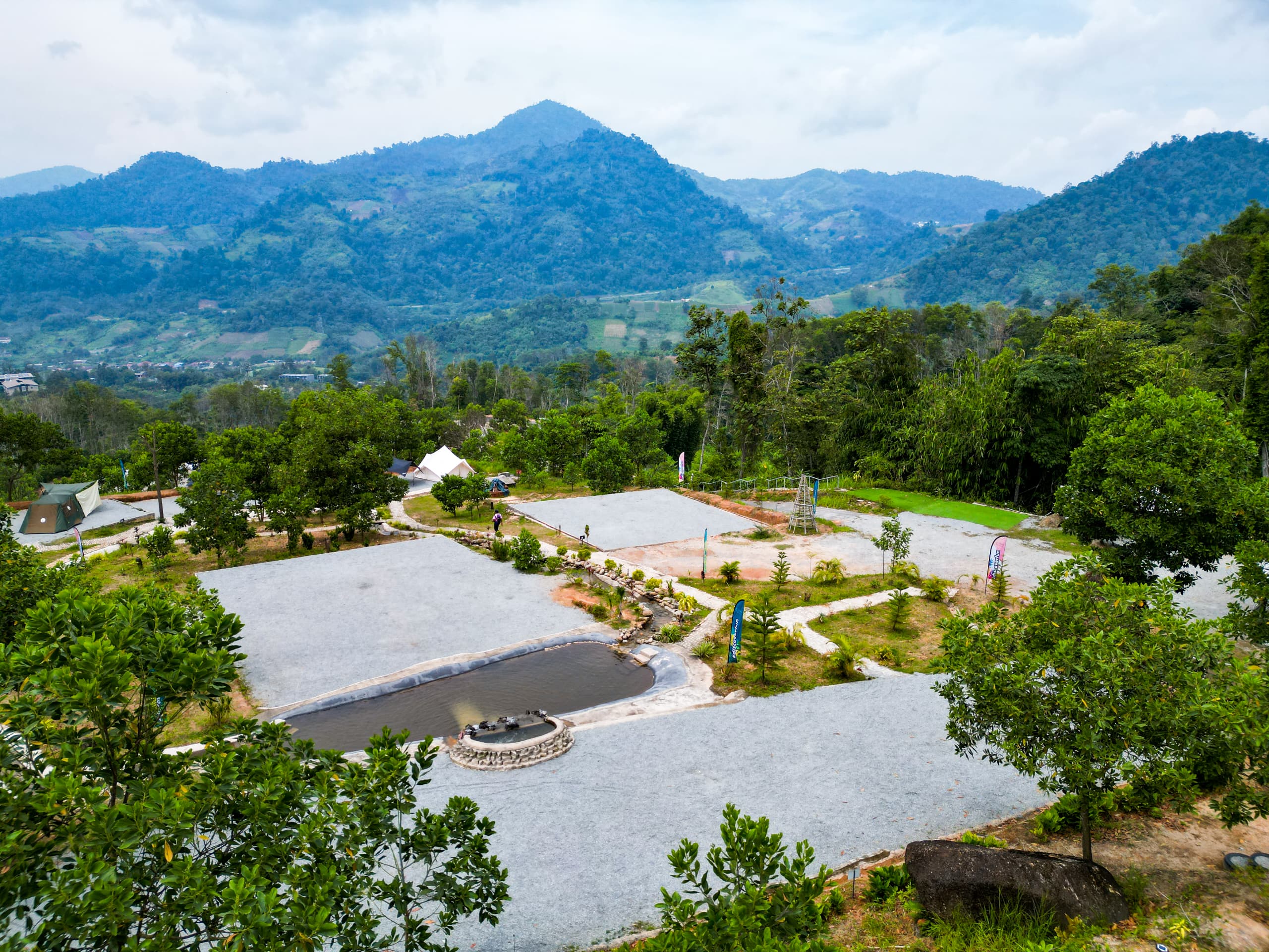 Forest trail and adventure